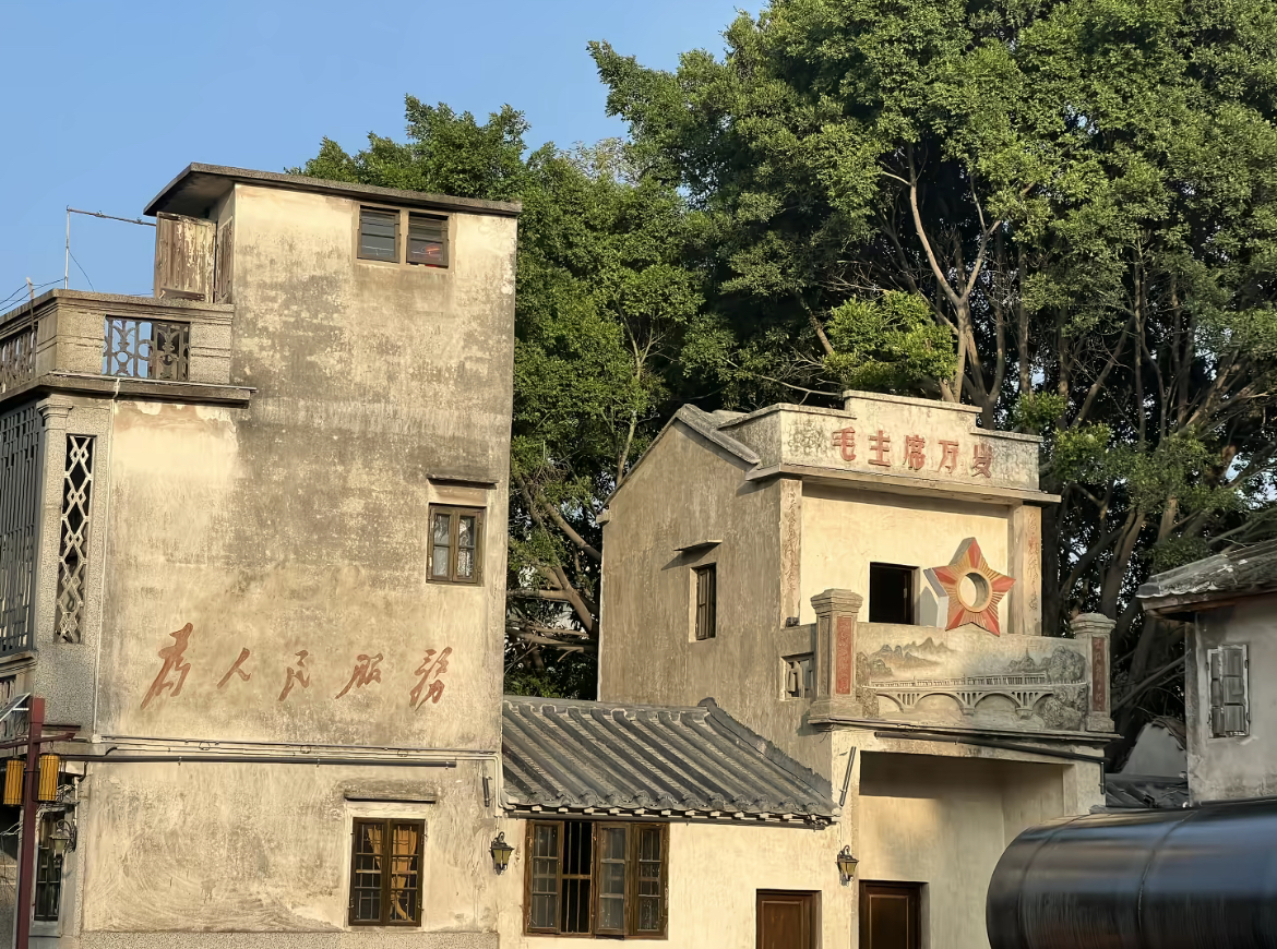 小鲨鱼